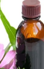 ingredient